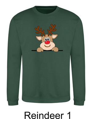 Reindeer Christmas Jumper -  Personalised Gift
