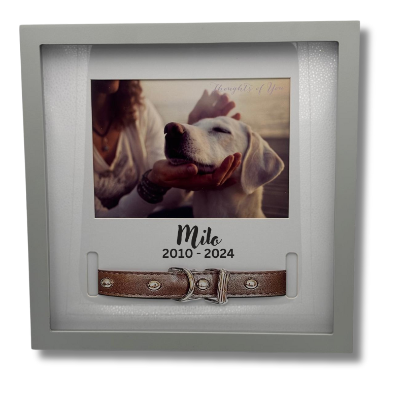 Dog Collar Frame - Personalised Gift