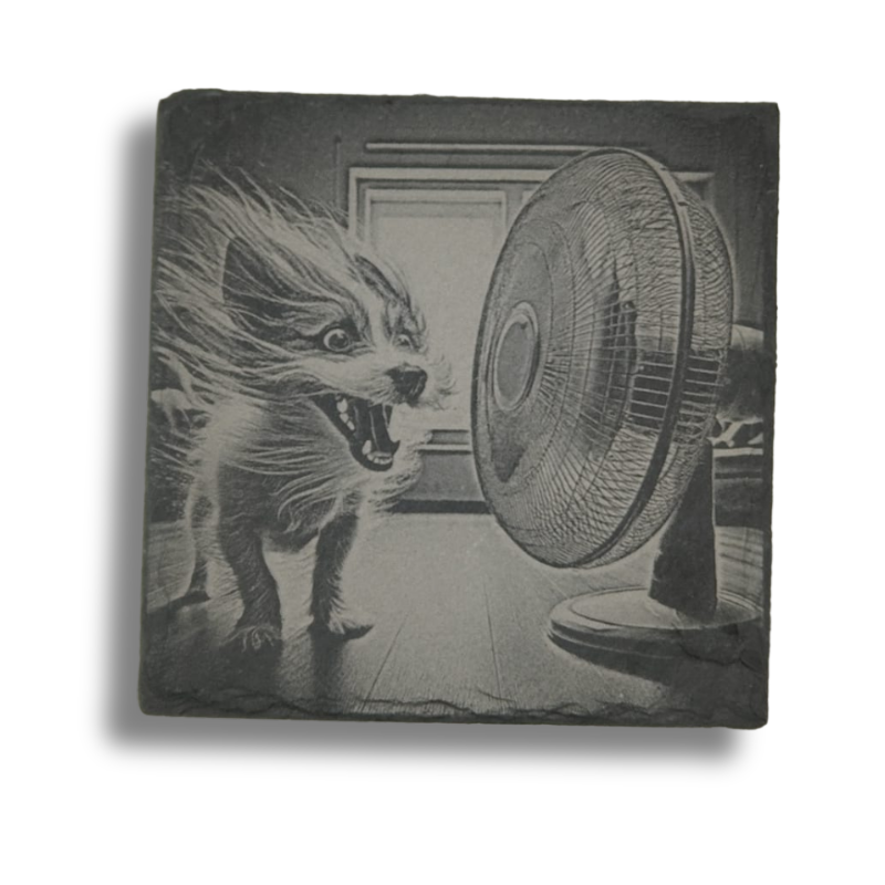 Keeping Cool - Slate Coaster