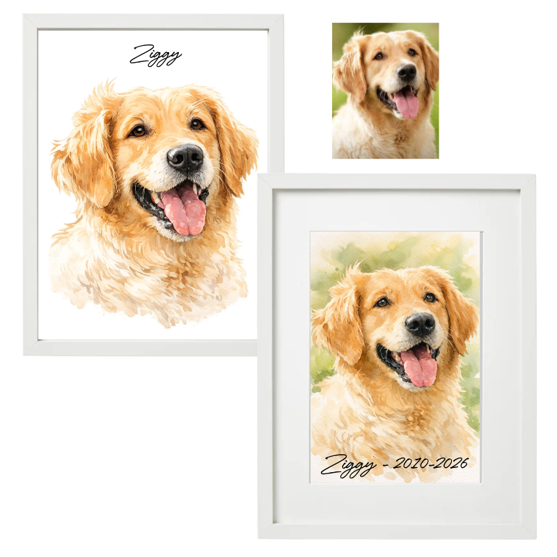 Framed Watercolour Pet Portrait - Personalised Gift