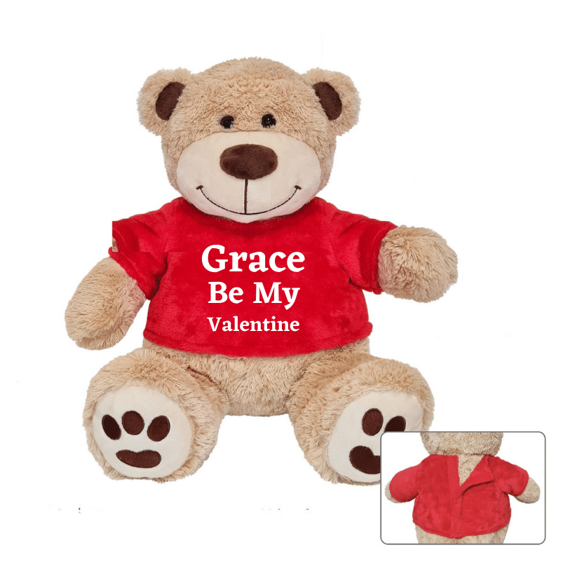 Valentine Bear With T-Shirt, Personalised Gift